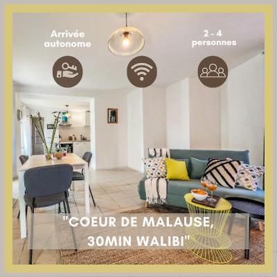 Le Gite 1 - Appartement T2 De 53M2, Ideal Pro Ou Couples, Coeur De Ville Et Proche Golfech Malause Eksteriør bilde